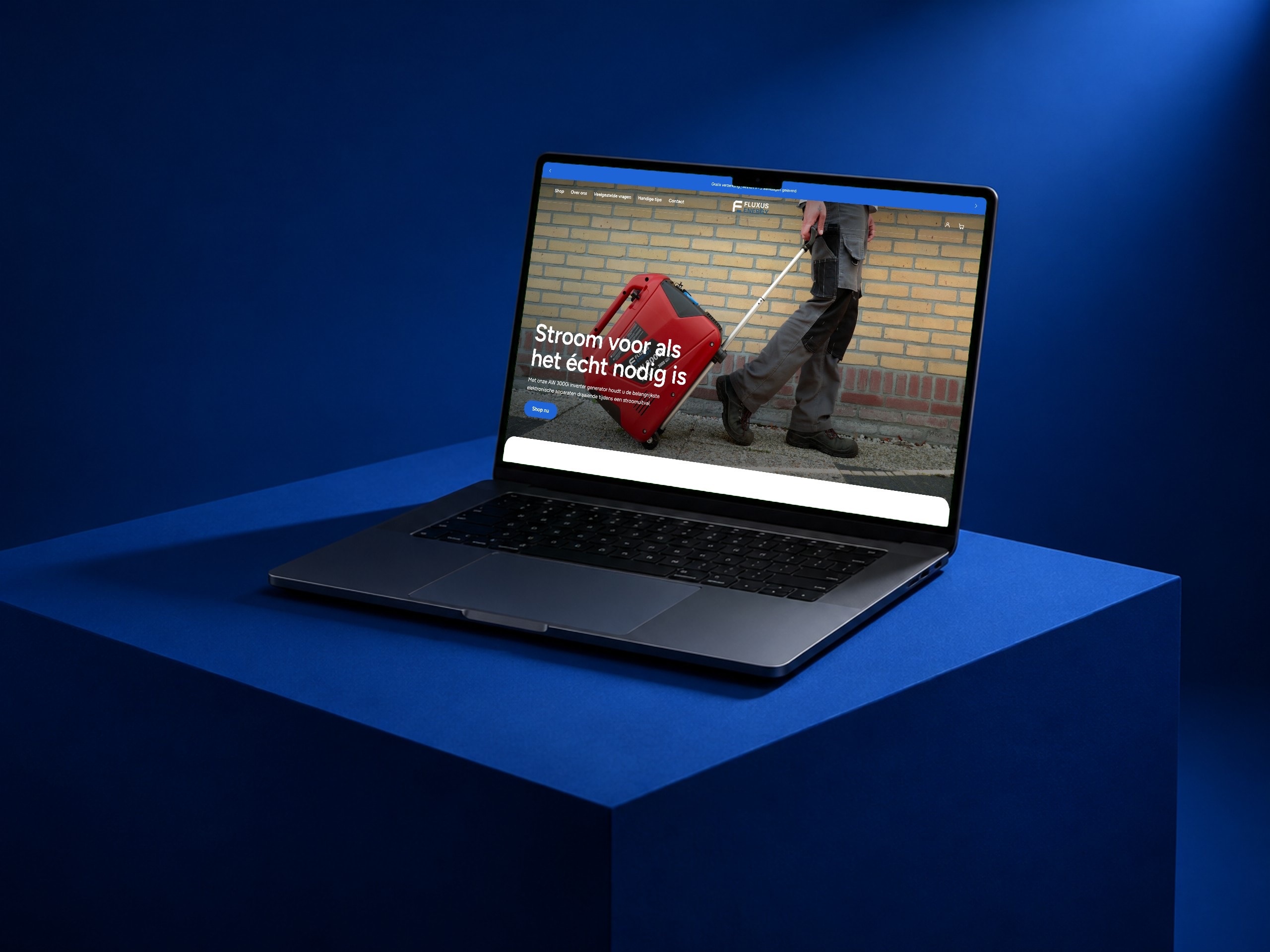 Fluxus Energy, De hele webshop ontworpen en gebouwd, op basis van de bestaande huisstijl.